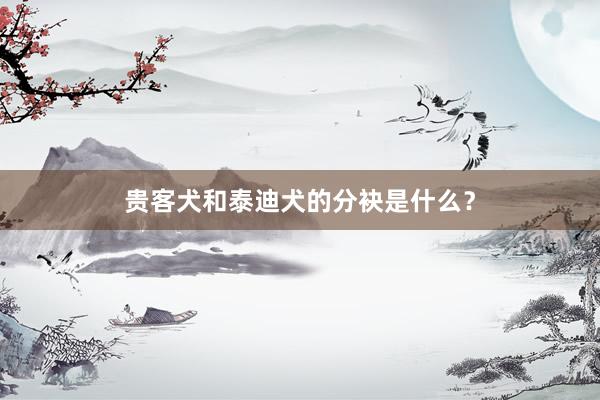 贵客犬和泰迪犬的分袂是什么？
