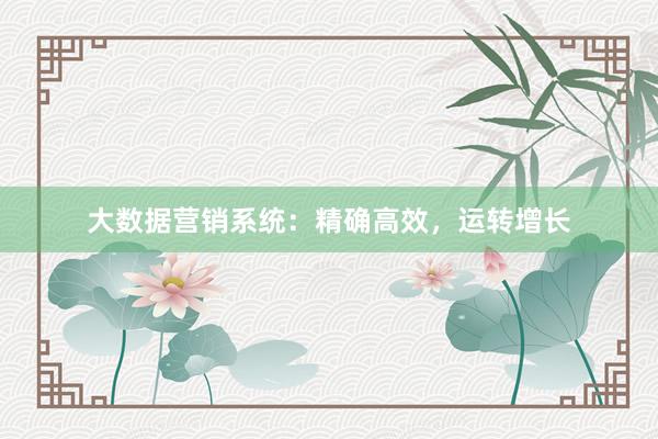 大数据营销系统：精确高效，运转增长